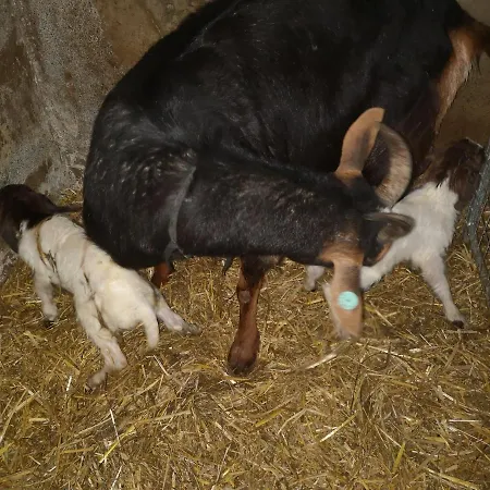Stybeck Farm * Thirlmere