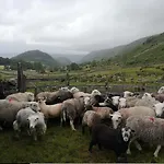 Stybeck Farm *