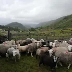 Stybeck Farm *