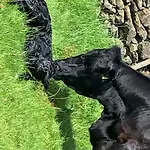 ファームステイ Stybeck Farm Thirlmere