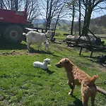 Séjour à la ferme Stybeck Farm *
