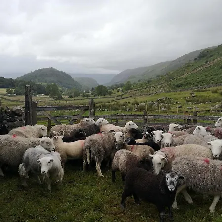 Stybeck Farm *