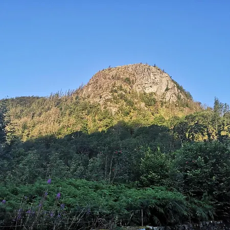 斯泰贝克农庄b&b旅馆 农家乐 *