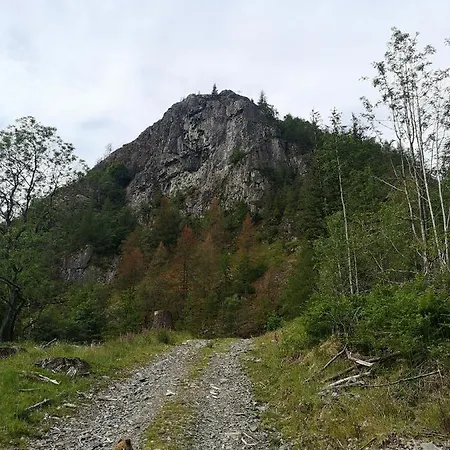 Gospodarstwo agroturystyczne Stybeck Farm