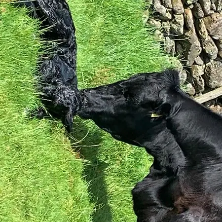 Gospodarstwo agroturystyczne Stybeck Farm Thirlmere