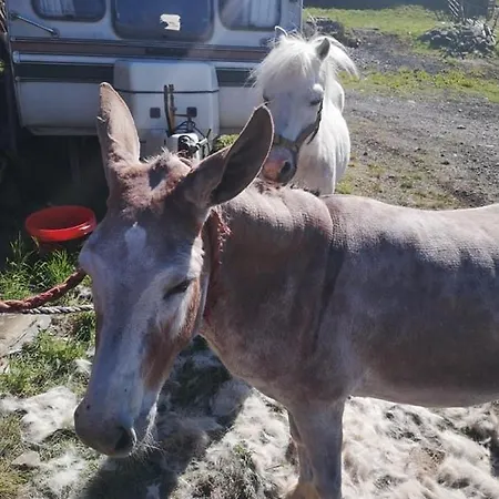 斯泰贝克农庄b&b旅馆 农家乐