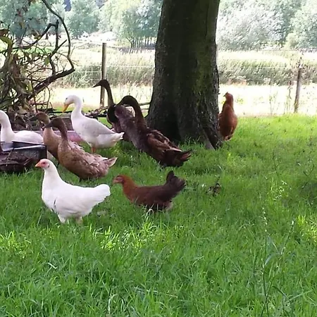 Séjour à la ferme Stybeck Farm