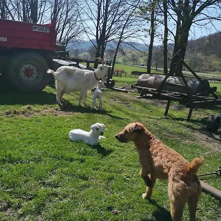 Gospodarstwo agroturystyczne Stybeck Farm *