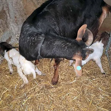 Gospodarstwo agroturystyczne Stybeck Farm Thirlmere