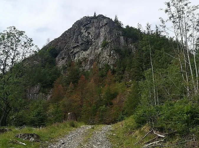 Alojamento de Turismo Rural Stybeck Farm