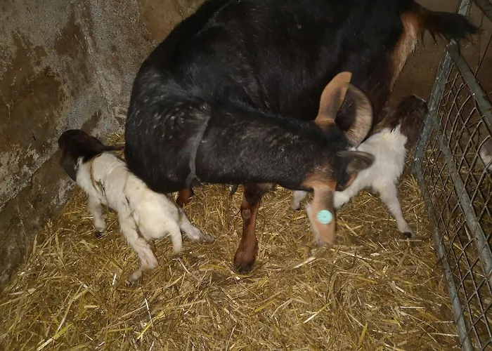Stybeck Farm * Thirlmere