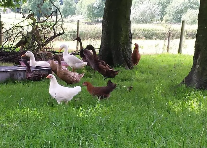 Alojamento de Turismo Rural Stybeck Farm