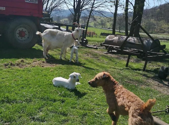 Alojamento de Turismo Rural Stybeck Farm *