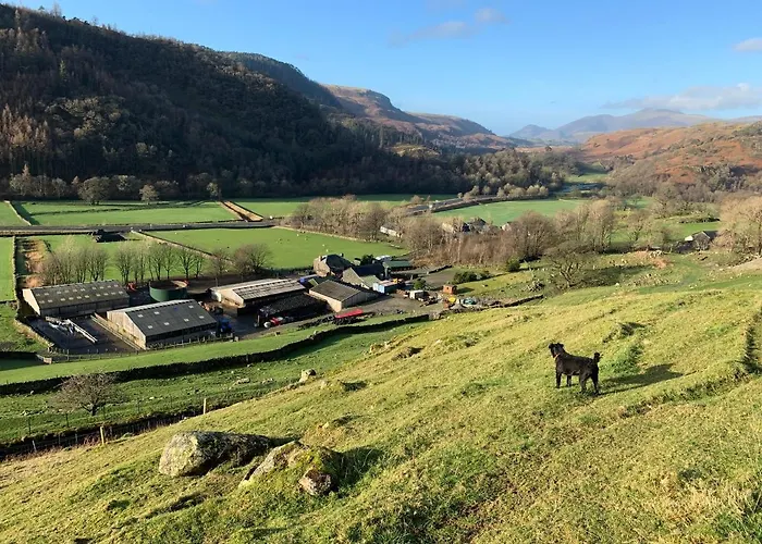 Alojamento de Turismo Rural Stybeck Farm *