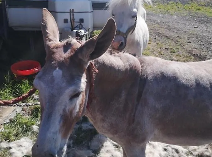 Stybeck Farm Lantgård